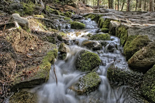 Parque Nacional de Yosemite — Fotografia de Stock