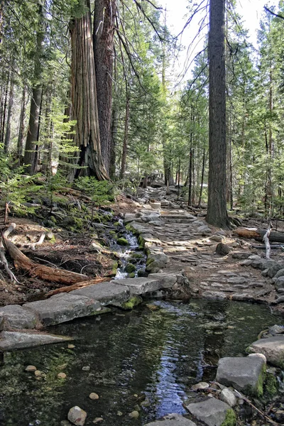 Parco nazionale dello Yosemite — Foto Stock