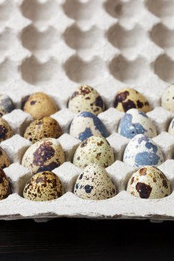 bıldırcın yumurtası bir kağıt kutu içinde.