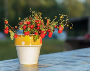 Bir bardak çilek dallarında. 