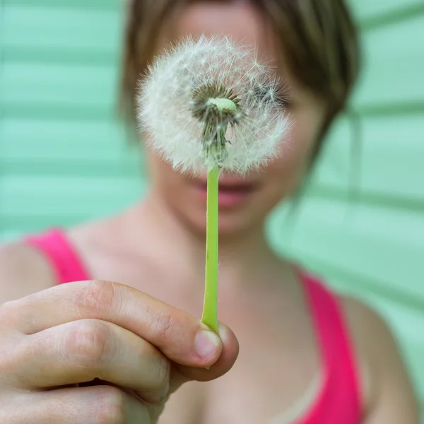 Dandelion flower on a green background. — Stock Photo, Image