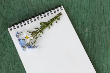 Romantik mektup yazma. 