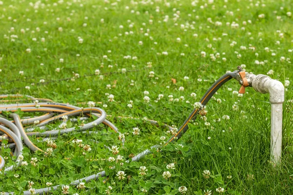 Erba da giardino irrigatore . — Foto Stock