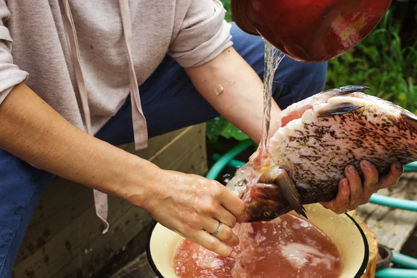 Mujer limpia un pez enorme. Bream en la tabla de cortar —  Fotos de Stock