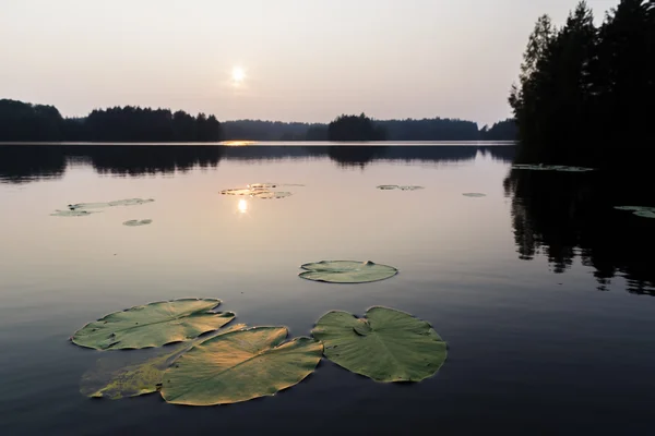 Sonnenuntergang über dem See in reiner Natur — Stockfoto