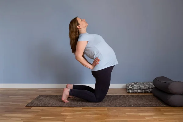Uzun, sağlıklı, hamile bir kadın. Yoga yapıyor, evde egzersiz yapıyor. — Stok fotoğraf