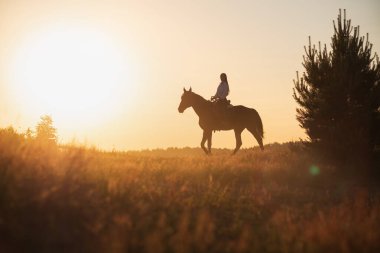 Caucasian woman and horse training during sunset clipart