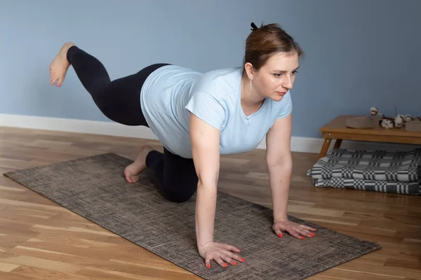 Doğum öncesi yoga meditasyonu. Hamile kadın evde kedi yoga pozu veriyor. — Stok fotoğraf