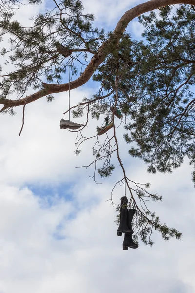 Vreemde traditie te werpen van schoenen op bomen — Stockfoto
