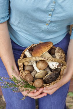 Mantar adam elinde tam sepeti