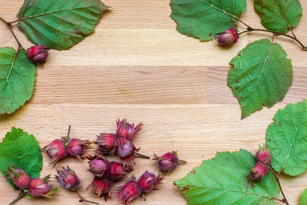 Lo sfondo con foglie e noci — Foto Stock