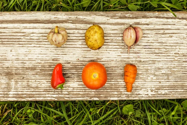 Hälsosamma livsmedel. höstens skörd. rå mat för vegetarianer — Stockfoto