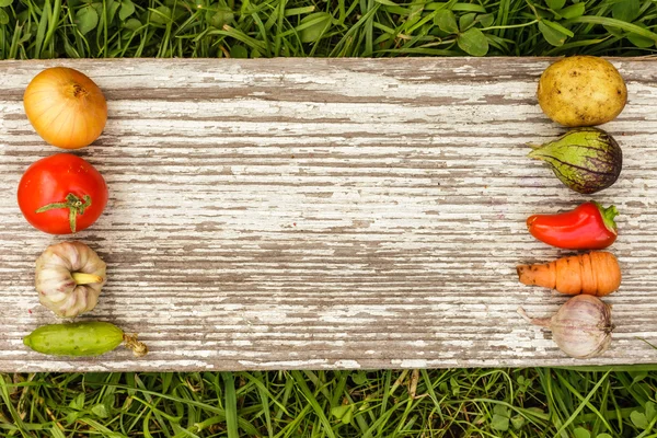 Hälsosamma livsmedel. höstens skörd. rå mat för vegetarianer — Stockfoto