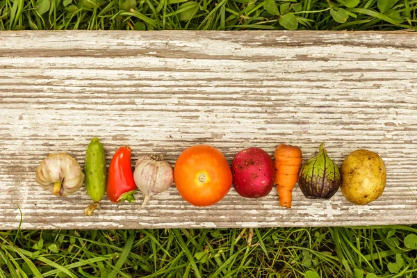 Hälsosamma livsmedel. höstens skörd. rå mat för vegetarianer — Stockfoto