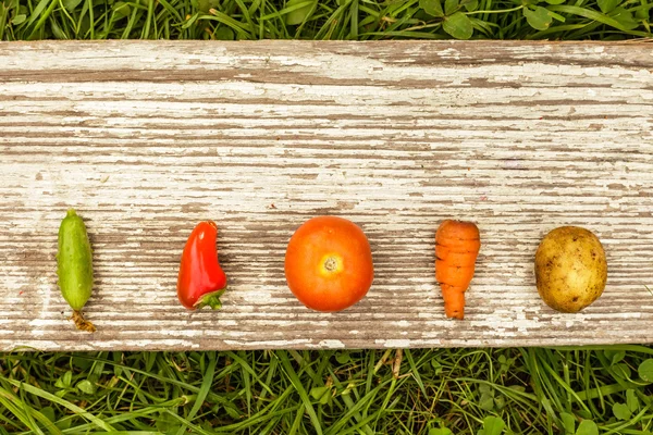 Raccolto autunnale. cibo crudo per vegetariani — Foto Stock