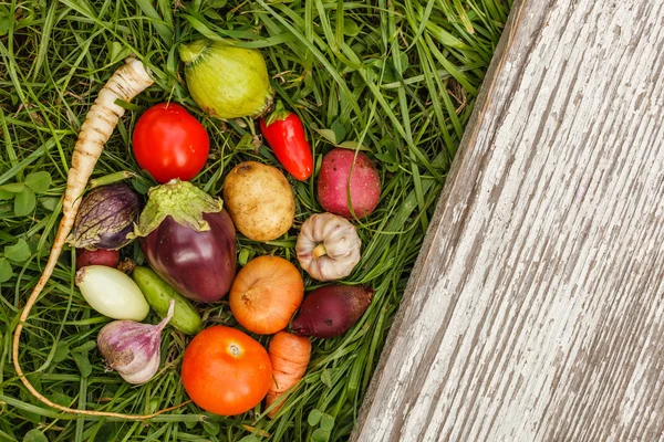 Alimentos saludables. cosecha de otoño. alimentos crudos para los vegetarianos —  Fotos de Stock