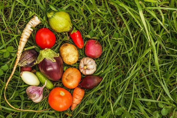 Alimentos saludables —  Fotos de Stock