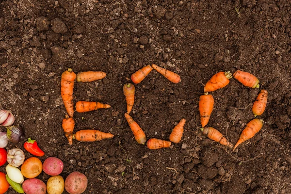 Eco napis na tle grupy młodych warzyw i świeżych ziemi — Zdjęcie stockowe