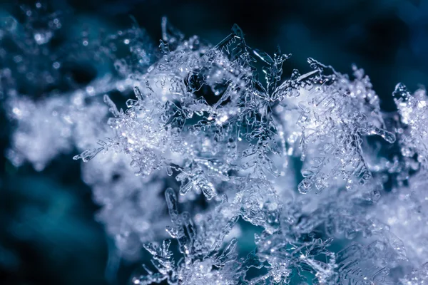 Schmelzendes Schneeweiß auf dem dunklen Hintergrund. Makro — Stockfoto