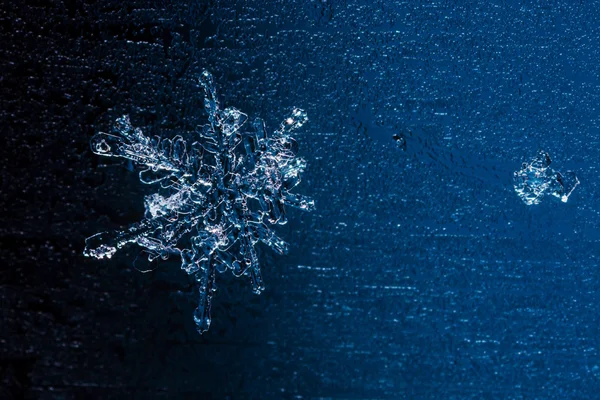 Floco de neve e um pedaço partido dele — Fotografia de Stock