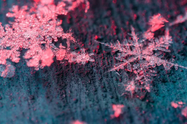 Νιφάδες χιονιού που επιπλέουν σε ένα σκονισμένο χώρο. — Φωτογραφία Αρχείου