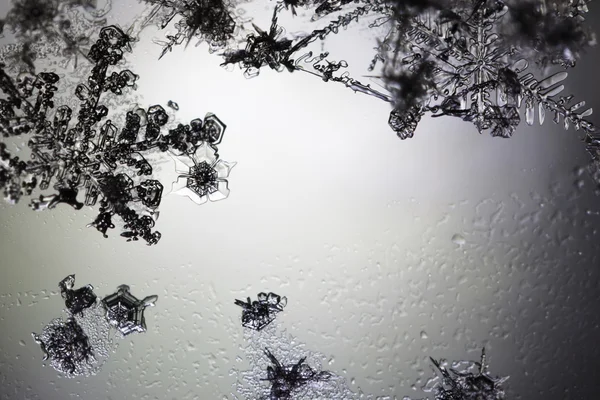 Flocos de neve flutuando em um espaço empoeirado . — Fotografia de Stock