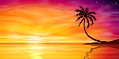 Günbatımı, palmiye ağacı ile gündoğumu