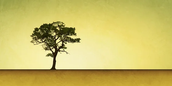 Árbol solitario — Foto de Stock