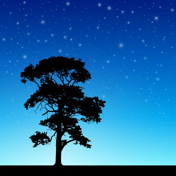 Arbre avec ciel nocturne — Image vectorielle