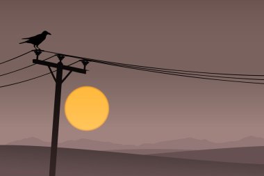 telefon hatları üzerinde kuş 