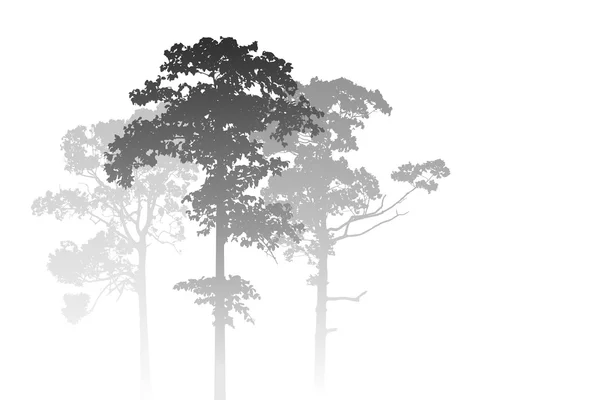 霧の森の風景 — ストックベクタ