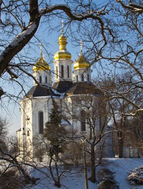  Antik şehirde sabah fantezileri. Eski ağaçların dalları tapınağın kubbesini çerçeveliyor.. 
