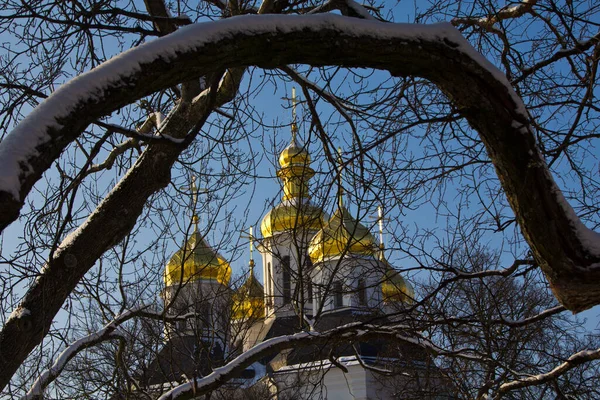 Ранкові Фантазії Стародавньому Місті Гілки Старих Дерев Обрамляють Куполи Храму — стокове фото