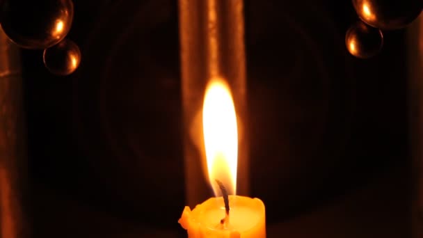 Calme et travail bien coordonné des abeilles dans les ruches. Les abeilles remplissent diverses fonctions. Ça dépend de leur âge. La vidéo a été filmée au soleil du soir, contre la lumière.