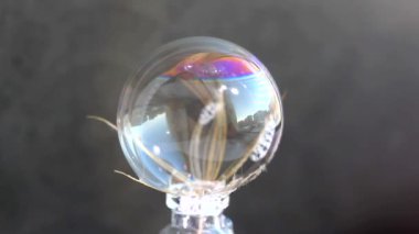 Bir balonlu filme ışığın karışması. Sabun filminin değişen kalınlığı, ışığın karışması fenomeni için gerekli koşulları yaratır..