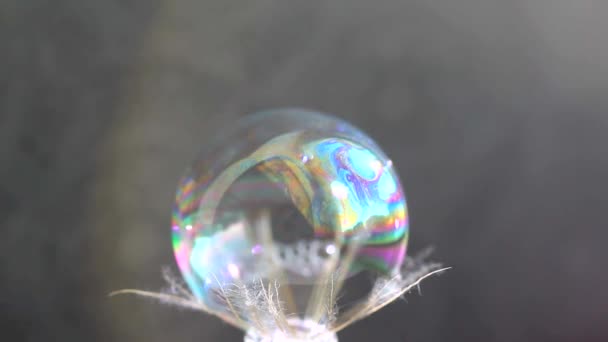 泡沫膜中的光干扰 肥皂膜厚度的变化为干涉光现象的出现创造了条件 — 图库视频影像