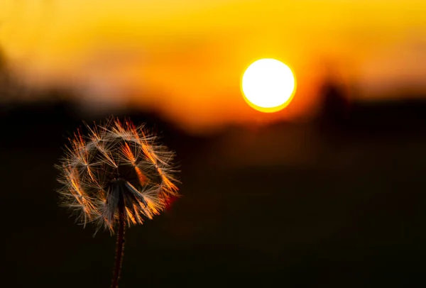 Paisagem Noturna Pintada Pelo Sol Sol Que Afunda Além Horizonte — Fotografia de Stock