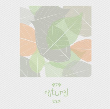 yaprak desenli arka plan