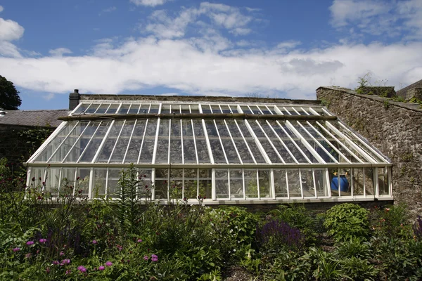 大規模な庭の温室 — ストック写真