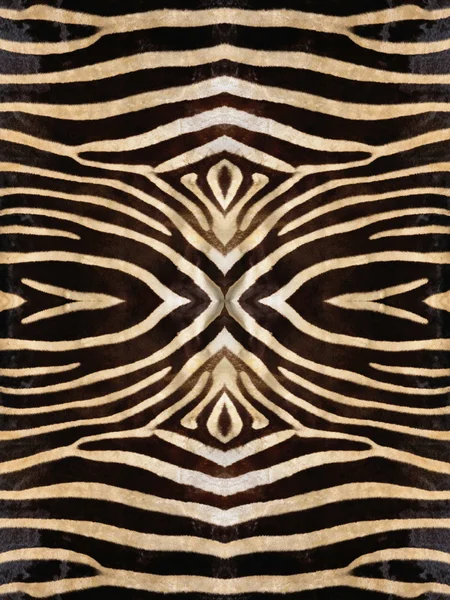 Zebra Skin Pattern — Stock Photo, Image