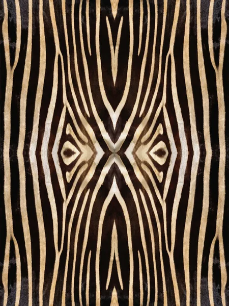 Zebra Skin Pattern — Stock Photo, Image