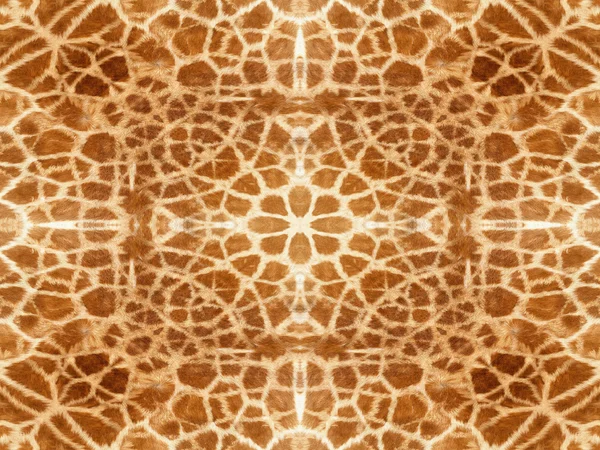 Giraffe skin pattern — Stock Photo, Image