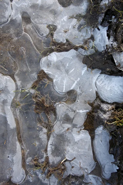 冬の氷の背景 — ストック写真