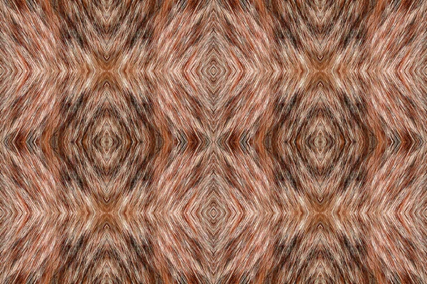 Cat fur pattern — Stock Photo, Image