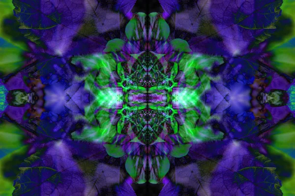 Kaleidoskop-Blütenmuster — Stockfoto
