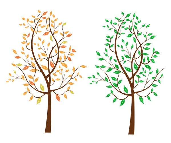 Verano otoño frondoso árbol — Vector de stock