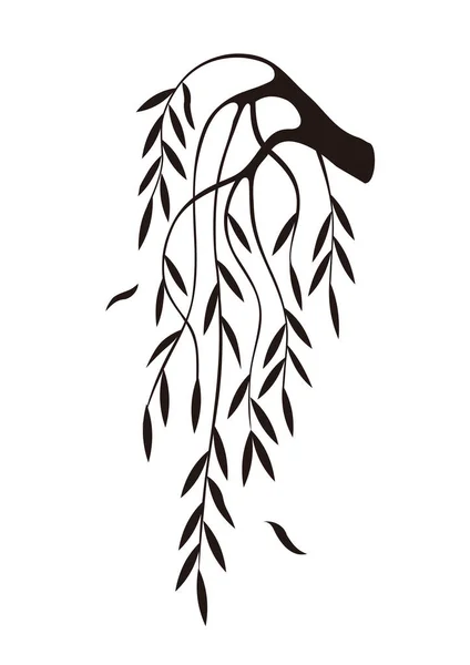 Weeping Willow Tree Branch Silhouette Illustration Melancholy Motive Isolated White — Stock Vector