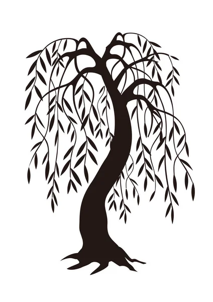 Sauce Llorón Silueta Negra Ilustración Del Motivo Melancólico Del Árbol — Vector de stock