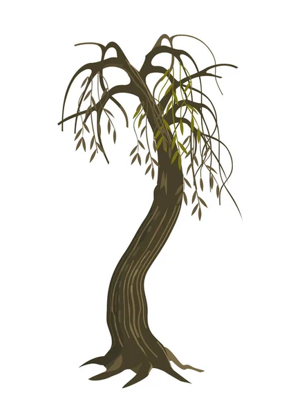Dry Weeping Willow Tree Colorful Illustration Melancholy Dry Tree Motive Royalty Free Stock Illustrations