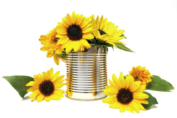 Sunflowers in recycling cans — Stock Photo, Image